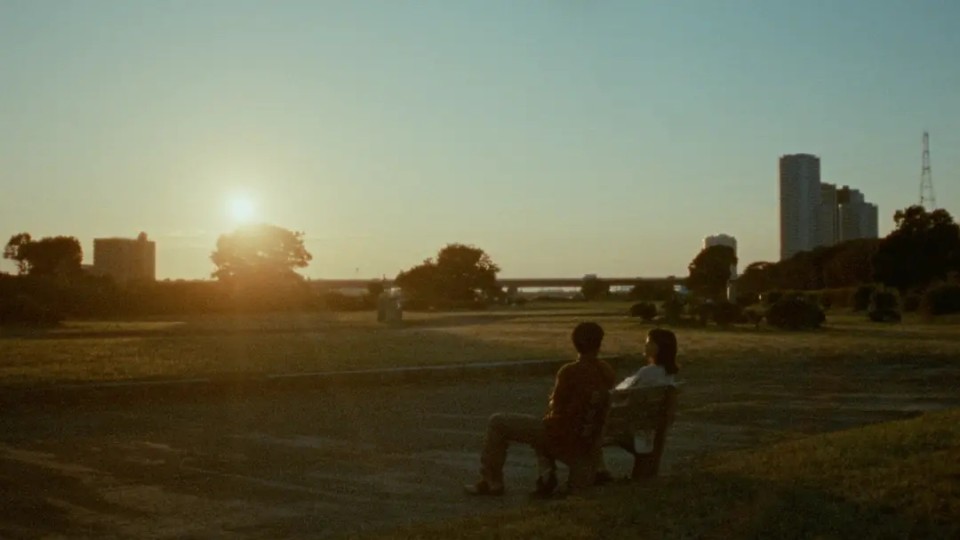 公园已然拆除，是不是意味着我们也该长大了